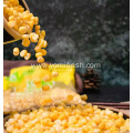 Freezing Sweet Corn Kernels